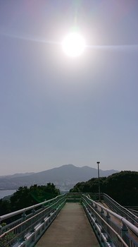 高塔山からの皿倉山.jpg